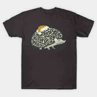 Hedgehog Haven T-Shirt